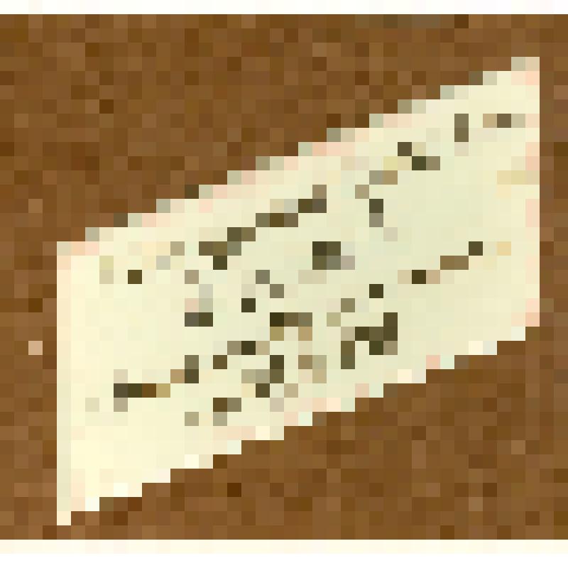 Юбилейный адрес чл.-корр. АН СССР К. Д. Бушуеву в день 50-летия от коллектива аэро-гидродинамического института им. Н. Е. Жуковского (ЦАГИ)