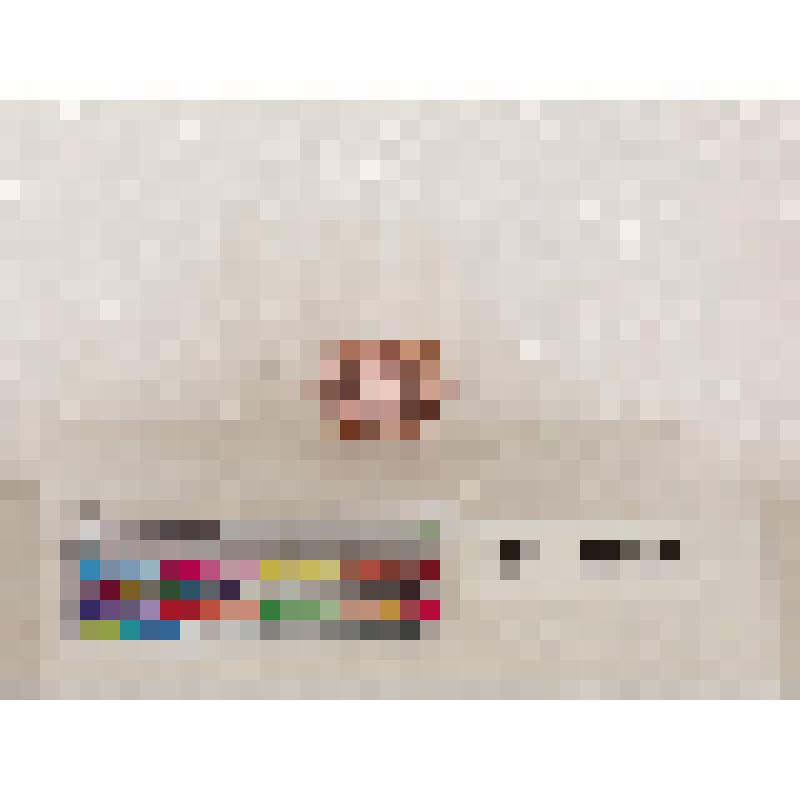 Печать овальная плоская с лицевой и слегка выпуклая с оборотной стороны