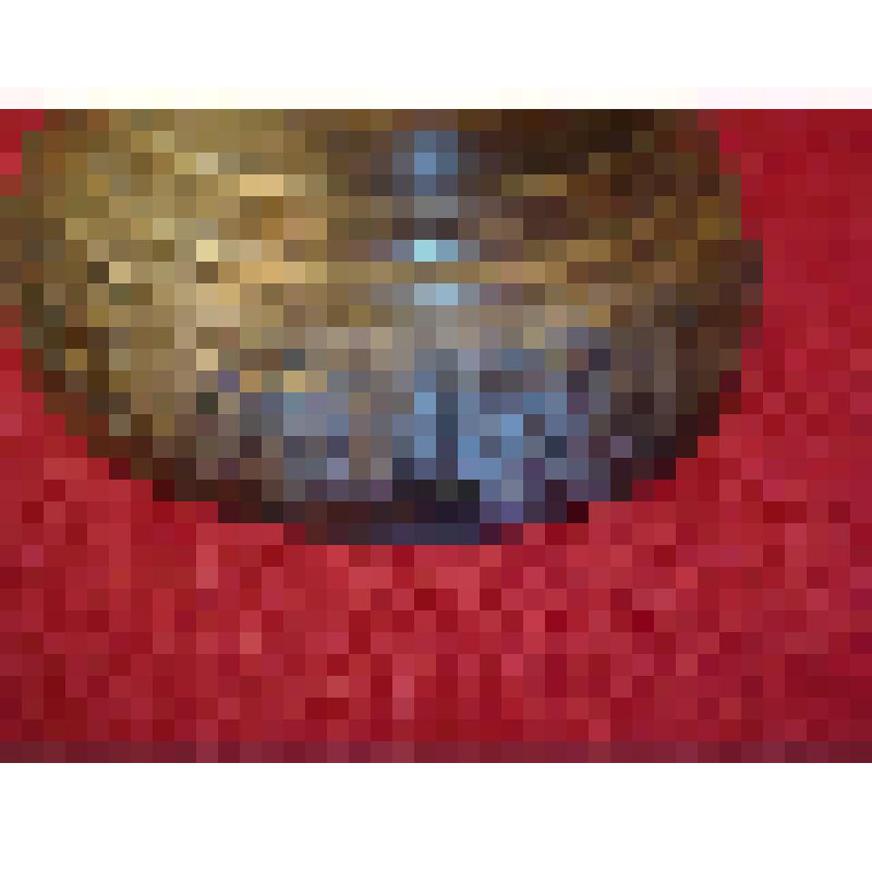 Колокольчик поддужный