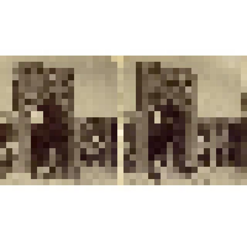 Фотоотпечаток. Мечеть Мир-Араб