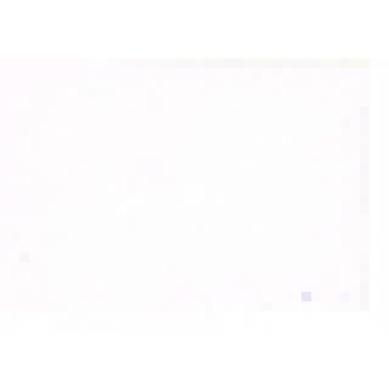 Фотография черно-белая. «Проводы русской зимы»