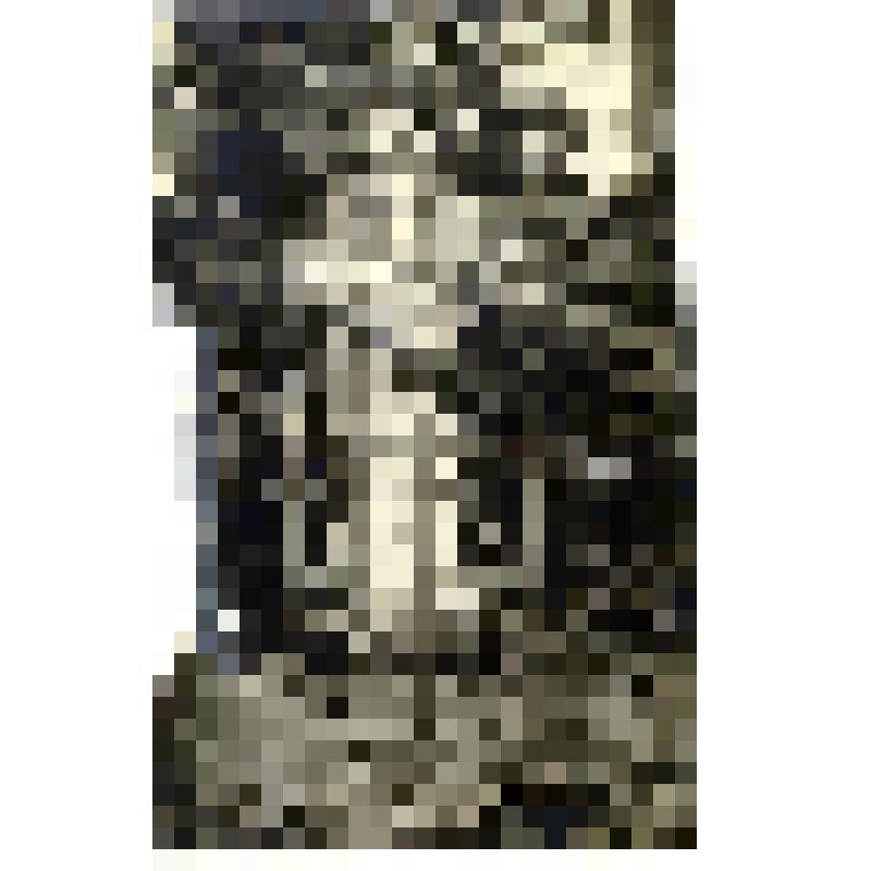 Фотография. Памятник на могиле П.И.Мельникова (Андрея Печерского) на кладбище Крестовоздвиженском монастыря в Н.Новгороде