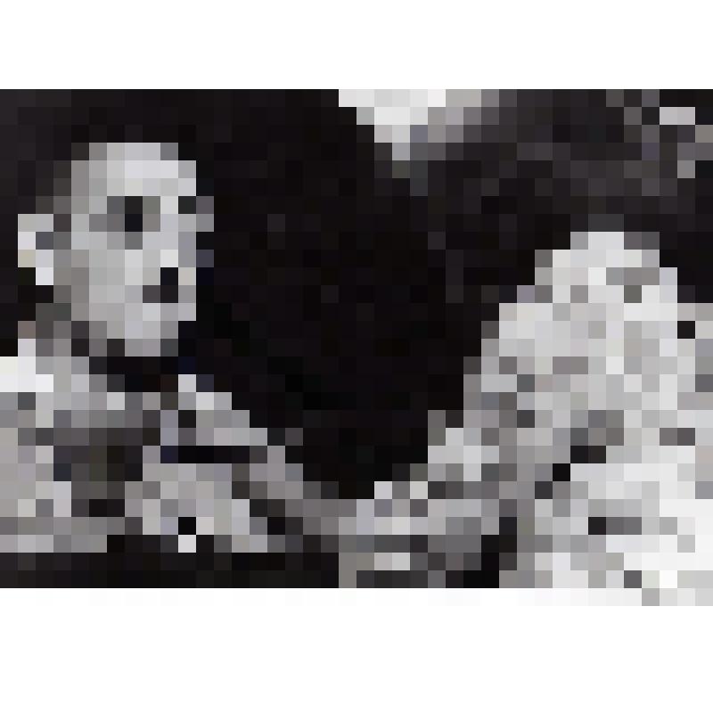 Фотография. Пеппино - В.С. Якут. Голова, 3/4 влево. Сидит у стола. "Суббота, воскресенье, понедельник" (пост. А. Шотрин, худ. М. Курилко.). Москва, Театр имени М.Н.Ермоловой