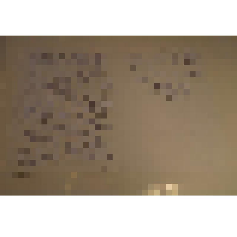 Письмо В.А.Биличенко от М.И.Лебедевой