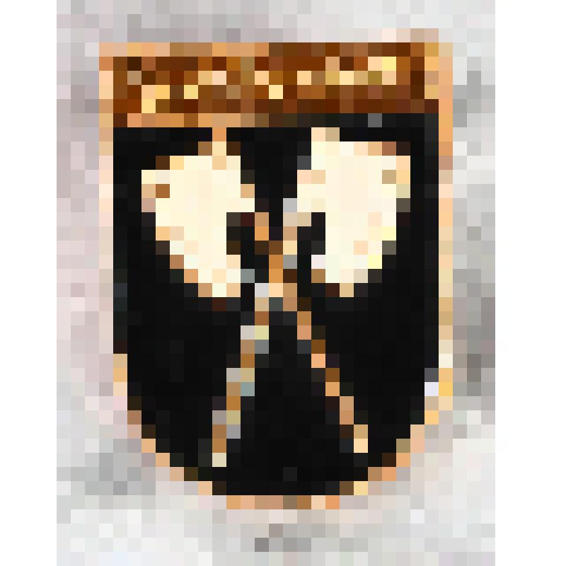 Коллекция значков из серии "Гербы  городов Восточной Пруссии". Значок с изображением герба Heiligenbeil (Мамоново)