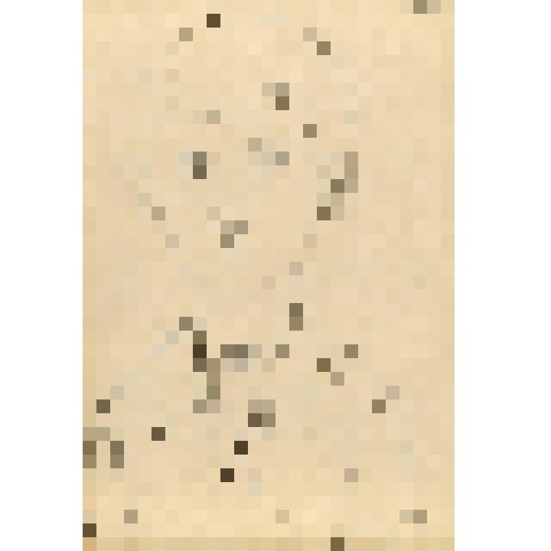 Графическая работа "Портрет Коли"