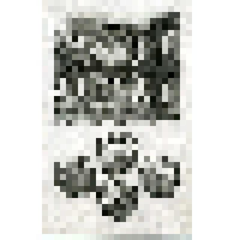 Офорт. Лист 170. Схождение Ангела в купель Вифезда в Иерусалиме. Исцеление больного. Прощение женщины, взятой в прелюбодеянии. Иудеи обвиняют Христа. Въезд вот Иерусалим (Ин. 5, 8, 10, 12)