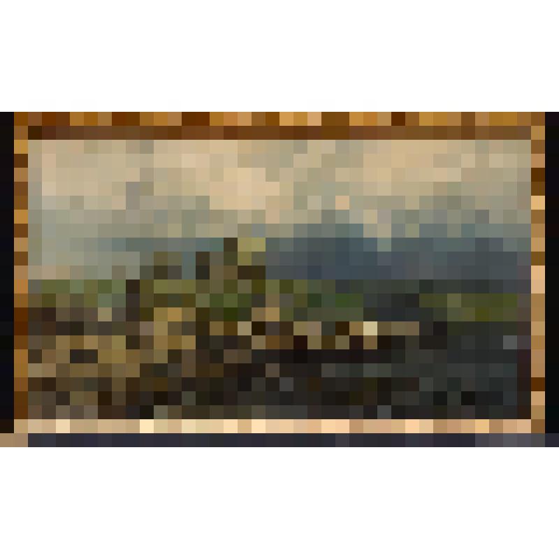 Перед грозой