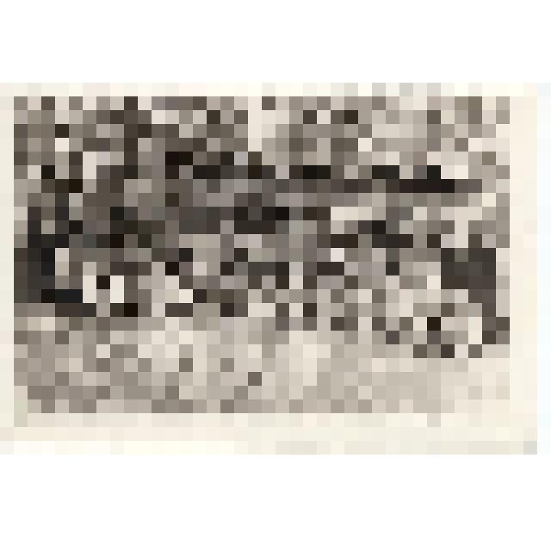 Ф/чб. Подполковник Солдатов В.Т. (2 ряд 4 слева), зам. командира ЗРП с сослуживцами (на природе). Читинская обл. 1965-1967