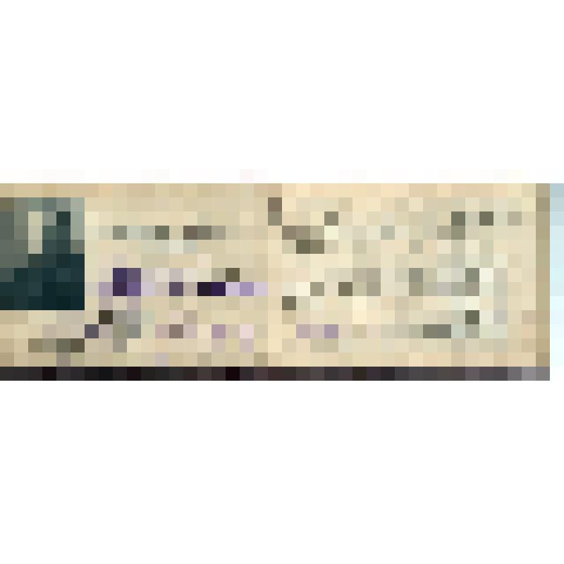 Удостоверение N 73 Макарова Т.И. - бывшего красногвардейца - красного партизана (с фото)