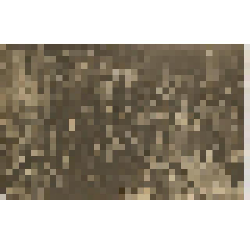 Фотография. Комсомольская ячейка Михайловского затона