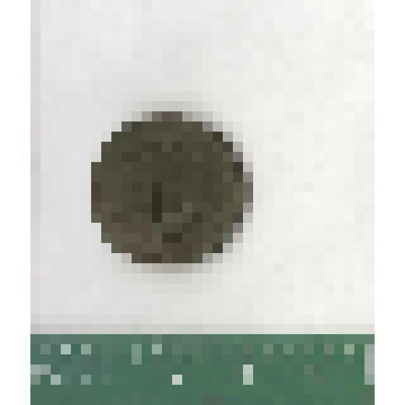 Монета 1 копейка. 1858–1860-е гг