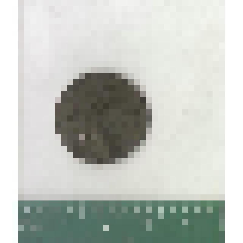 Монета 1 копейка. 1858–1860-е гг