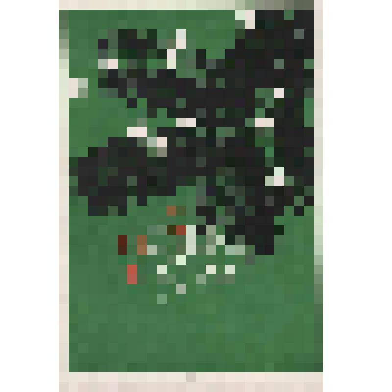 Документ. Открытка от Ефимова В.П., из г. Москвы   Князевой В.П. от 30.12.1962 г