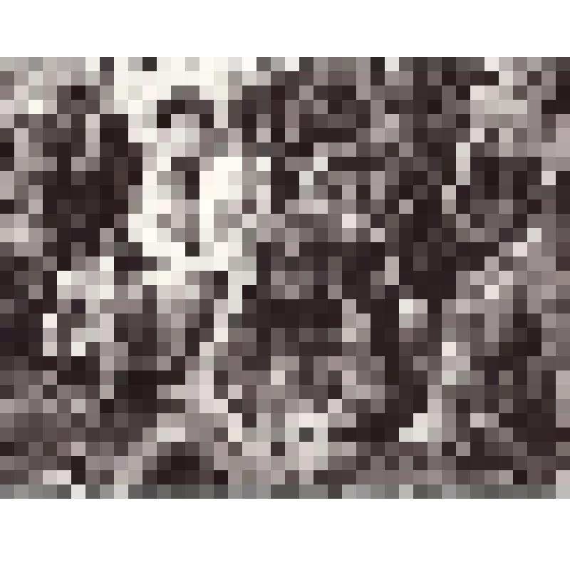 Фотография. Международный финно-угорский фестиваль., п.Русскинские. Хантыйские женщины