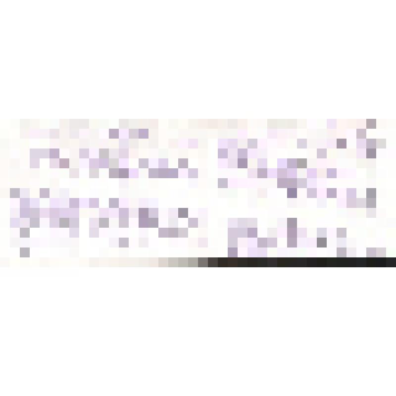 Поздравление неустановленного лица  Богомоловой З.А. с Новым Годом