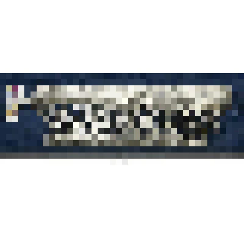 Полосы фрагмент от оклада