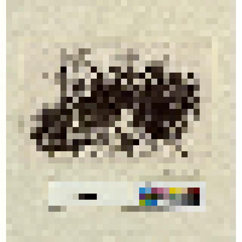 Зал ожиданий