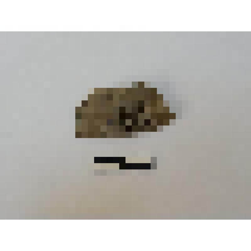 Изделие из сланца. Фрагмент