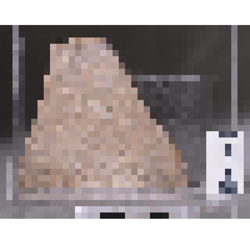 Кусок желтой облицовки здания с форума Романум