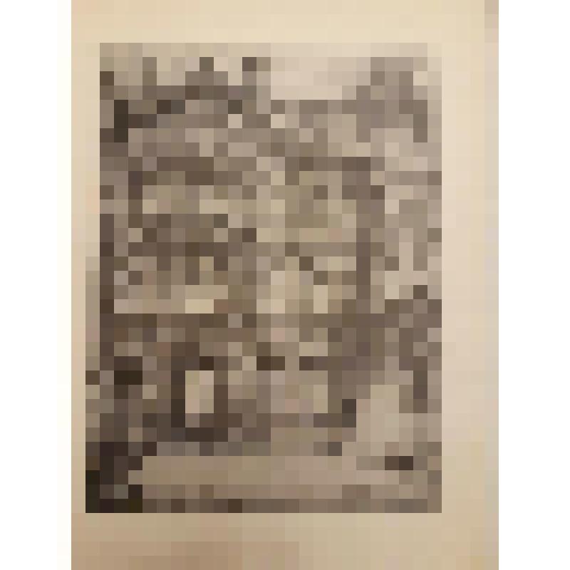 Planche № 3. Hôtel Thorigny-Salé. Литография из альбома "Paris, ses vieux hotels"