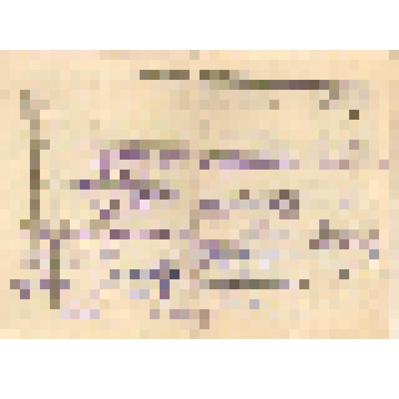 Вкладыш №2 в трудовую книжку Полевец О.В. со сведениями о работе и сведениями о поощрениях и награждениях