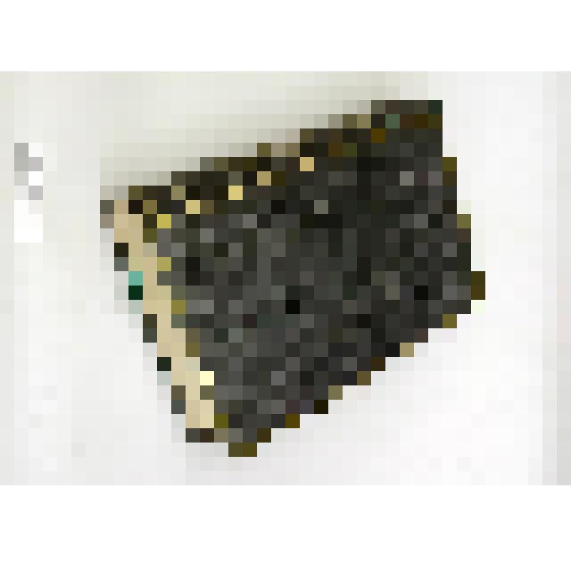 Продолжение свода законов Российской империи, изданного в 1857 году: С 1 января 1864 по 31 декабря 1867 года. Ч. 2. Книга