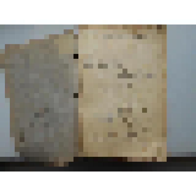 Kalendarz komunisttyczny na rok 1920. - Moskwa - Smolensk : Wydawnictwo Biura Polskiego przy Centralnym Komitecie Komunistycznej Partii Rosji,1920. - 223c