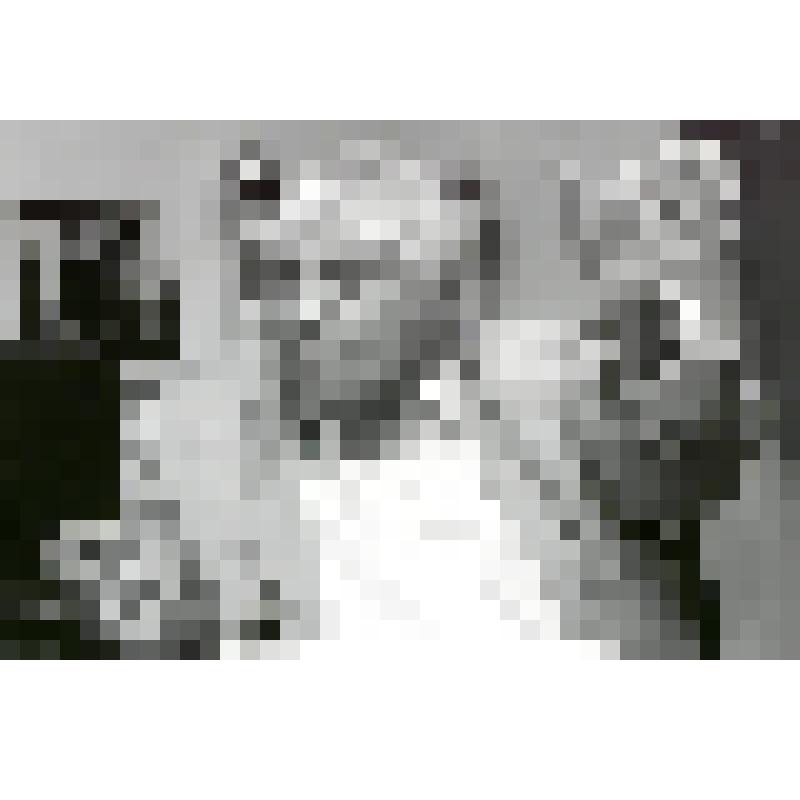 Фотография. Режиссер  Любимов Ю.П. Москва, Театр на Таганке