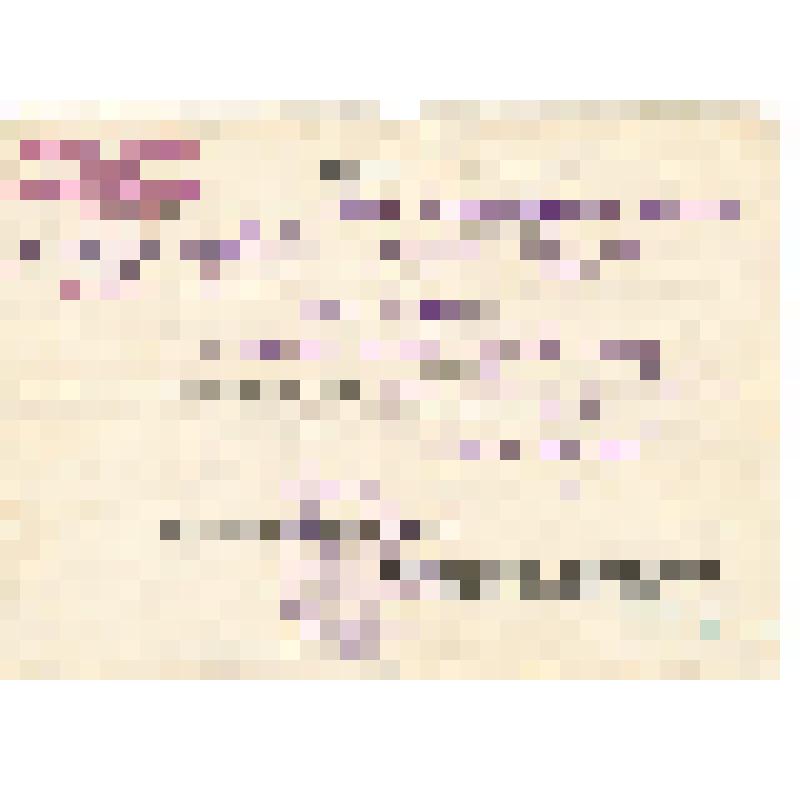 Удостоверение № 572. Зубковой Евдокии Ивановны, жены гв. подполковника юстиции Зубкова Виктора Ивановича,