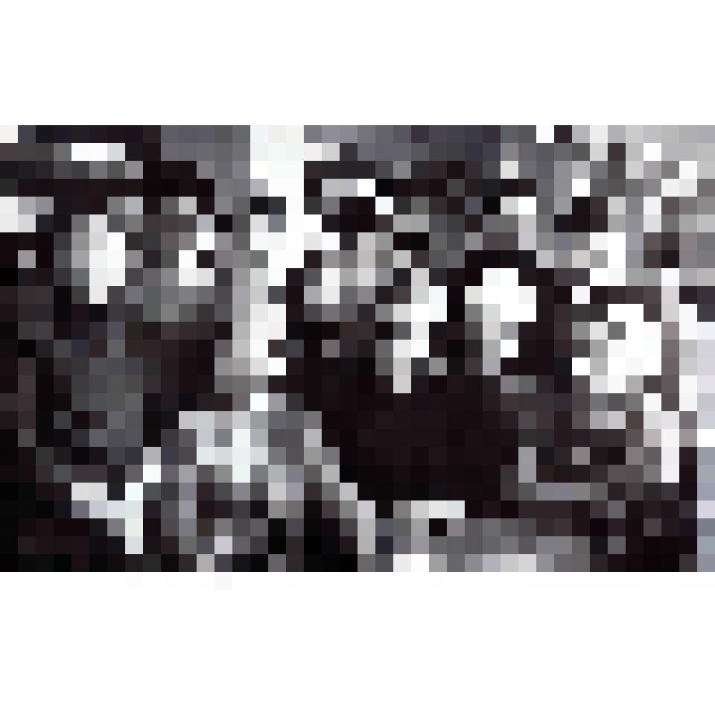 Фото. Бригада работниц Бирской швейной фабрики