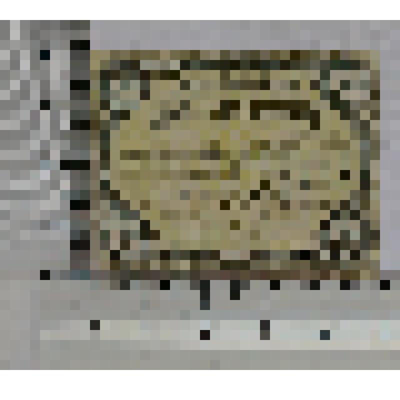 Германия, Зелов (Seelow). Нотгельд. 10 пфеннигов. 1 июля 1920 г. до 1 июля 1921 г