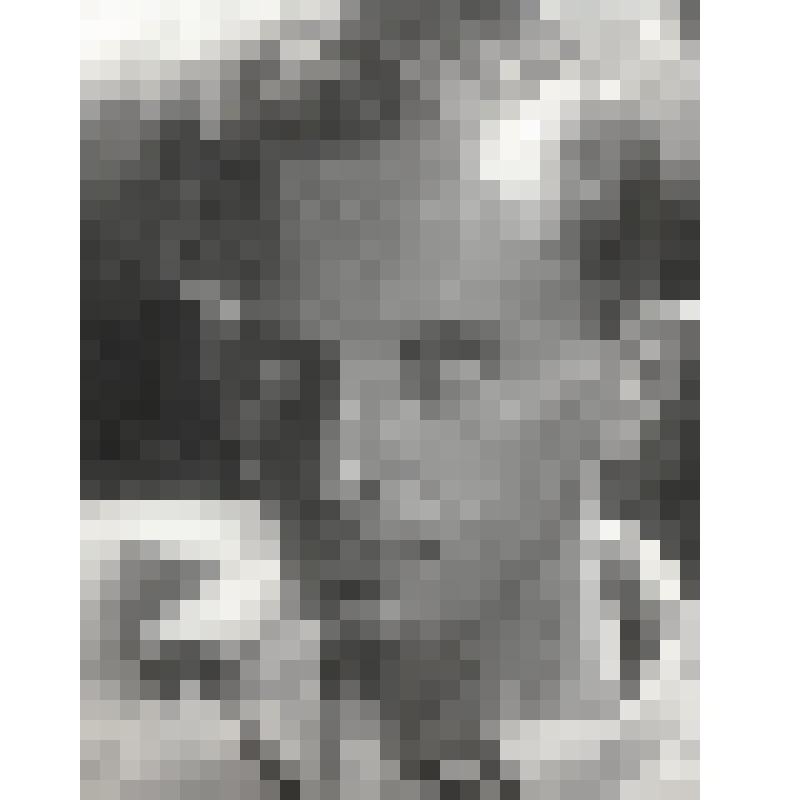 Фотокопия черно-белая. Йожеф Лендел