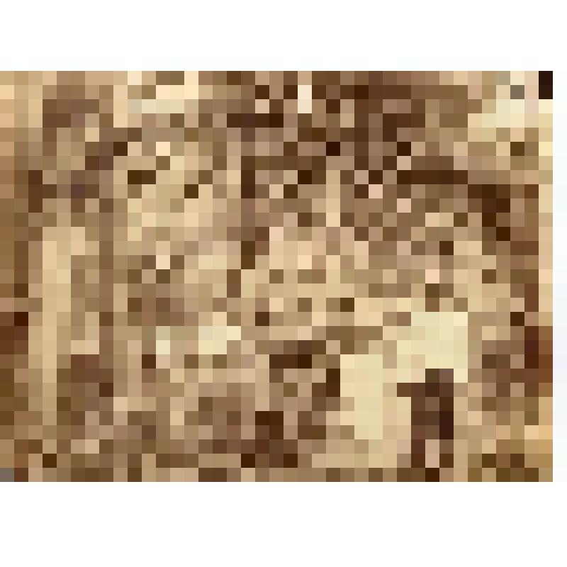 Ф/чб. Дача Ухиных на р. Саратовка у Покровской сл. Куценко Кира и Юра (мальчик с девочкой на фоне реки). ~1900 г