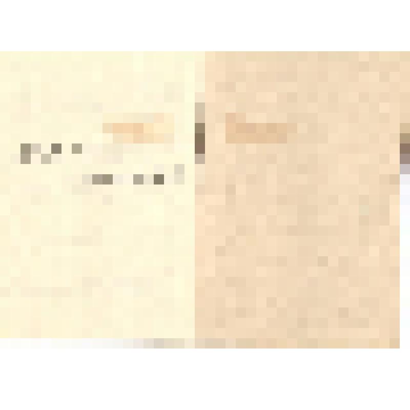 Ленинская тетрадь