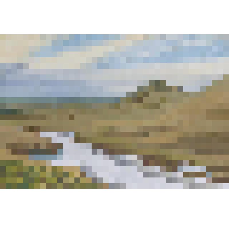 На острове Колгуев. Рисунок