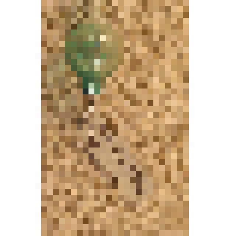 Игрушка елочная «Шар декоративный» для искусственной мини-елки, из коллекции игрушек для искусственной мини-елки из наборов елочных украшений "Малютка"