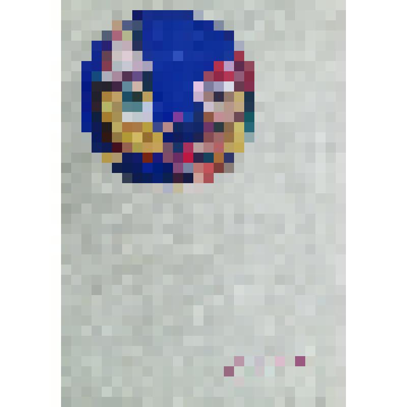 Регламент работы V конференции писателей Индии. Индия. 24-30.12.1965 г.  Музей-квартира М.К. Луконина