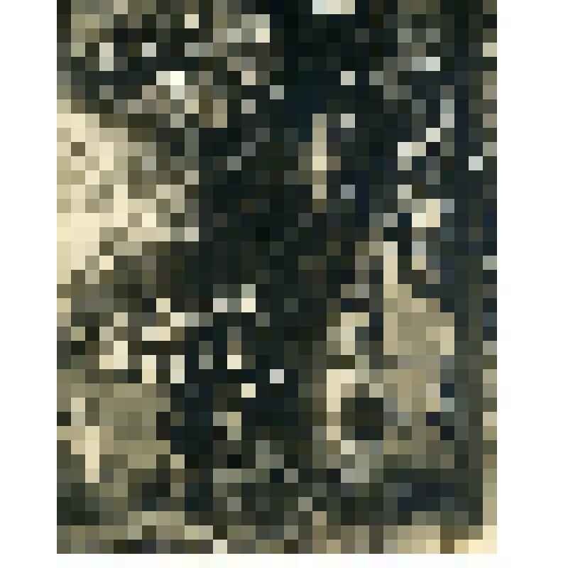 Фото. «Медневецкий костел. Матка боска»