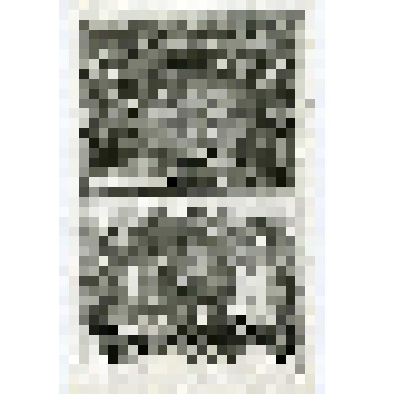 Офорт. Лист 110. Иллюстрации к Книге Екклесиаста