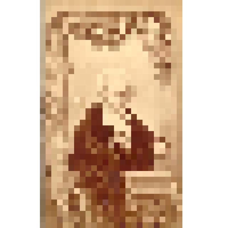 Фотография. Женский портрет (Дворянка Лукинская)