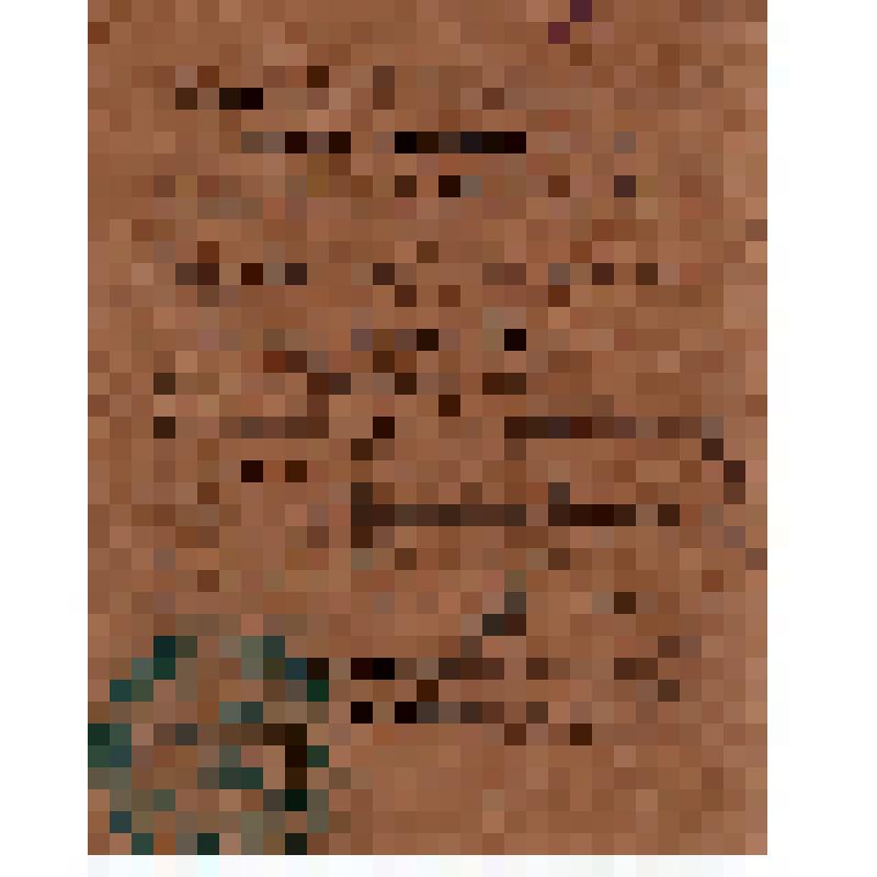 Билет N1 Швецова В.А., члена Всероссийского производственного профессионального Союза (Екатеринбургский губернский отдел)