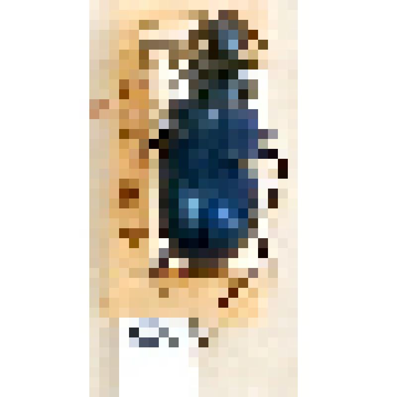 Коробка N22. Отряд жуки - Coleoptera. Семейство жужелицы - Carabidae. Род - Chlaenius. Вид - Chlаеnius саеrulеns