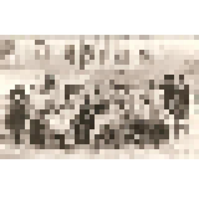 Фотография. Хоккеисты на центральной хоккейной коробке