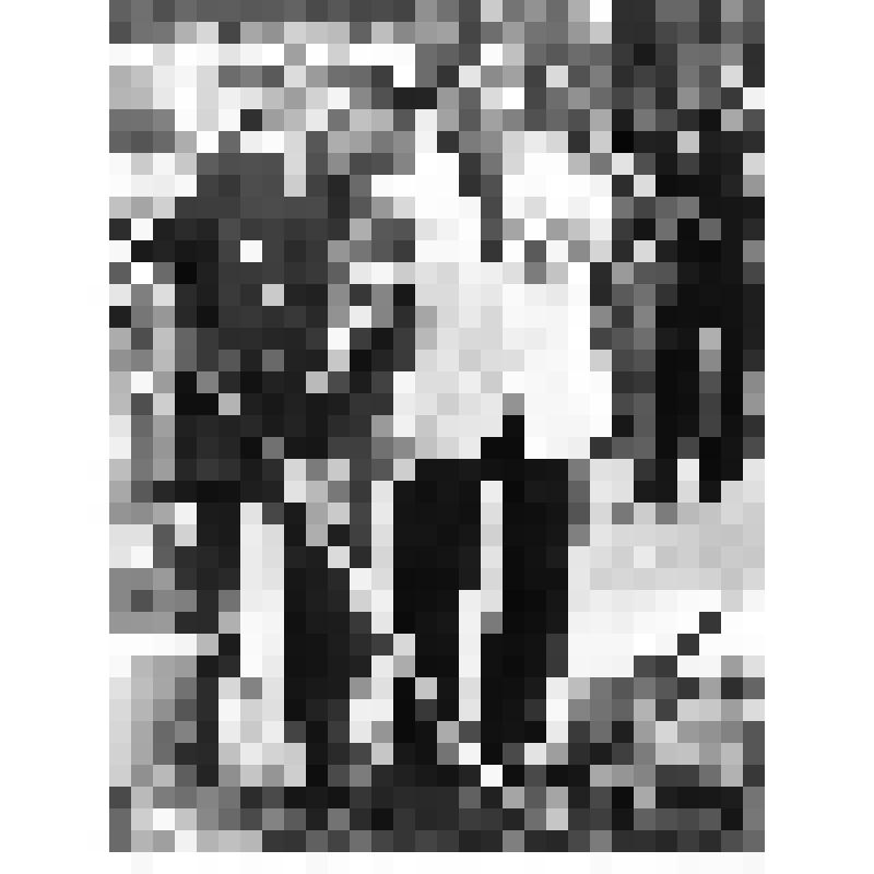 Фотография. Участники XI Всесоюзного слета закладывают аллею в ЦПКиО г. Тулы