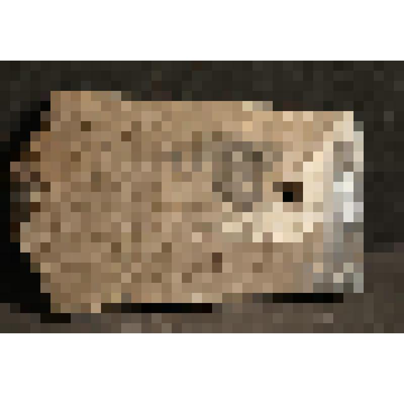 Черепица чернолощеная