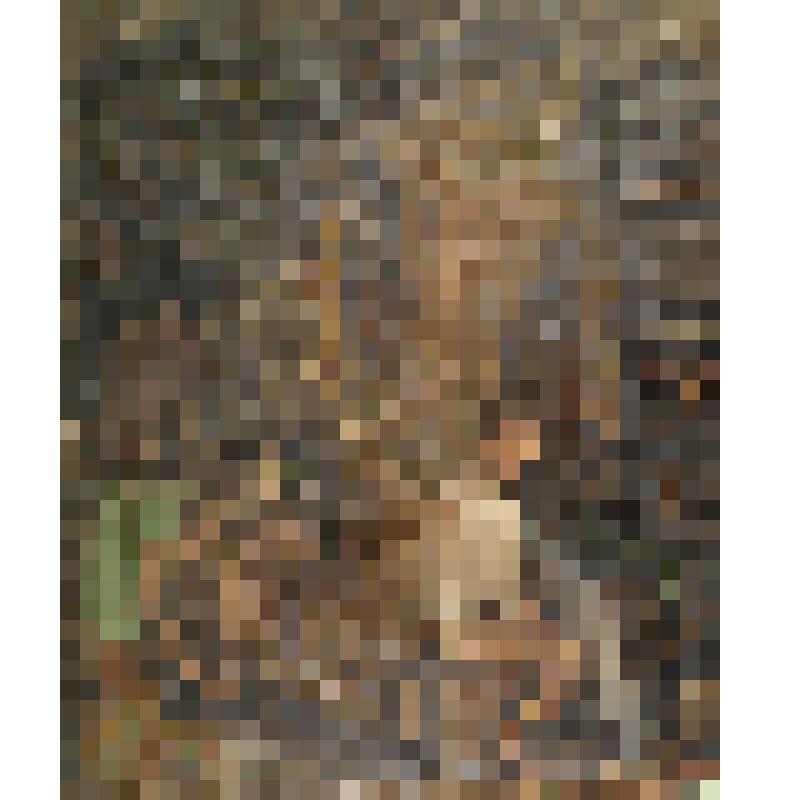 «Утро того дня».1983