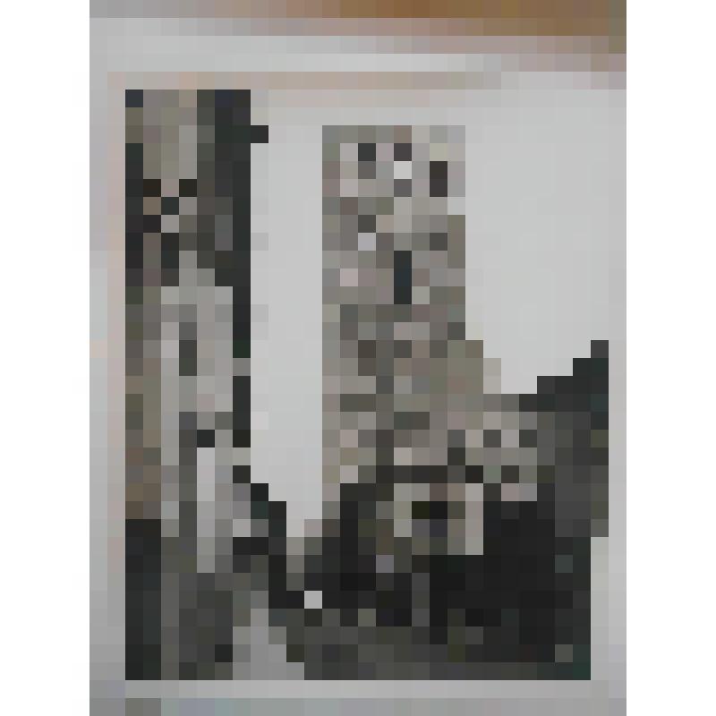Церковь Нигулисте. 1230-70 гг. Эстония, г. Таллин. Церковь Нигулисте. 1230-70 гг. Вид церкви после разрушения