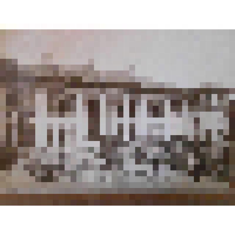 Дом Российско-Императорского консульства. Иран, г. Решт. Энзели-Тегеранская дорога. Дом Российско-Императорского консульства. Вид из сада. Д.И. Ермаков