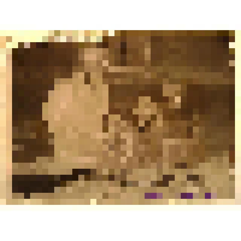 Негатив. Похороны молодой женщины